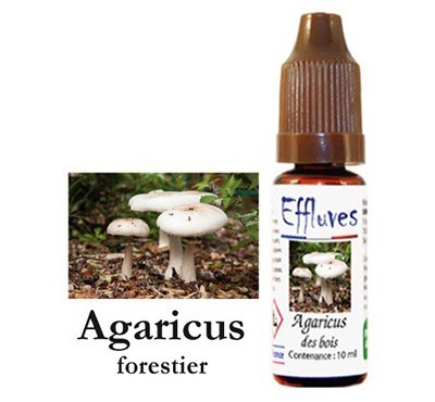 agaricus liquido fungo